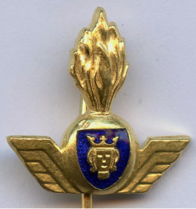 Знак артиллерии противовоздушной обороны Стокгольма.