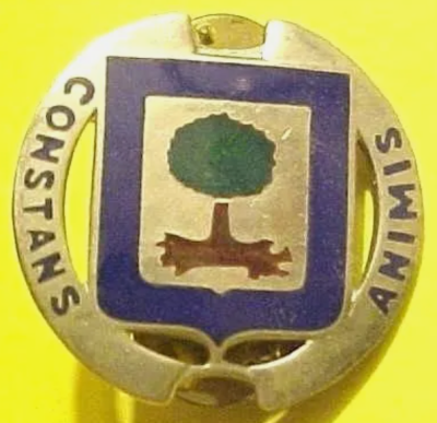 Знак 218-го пехотного батальона.