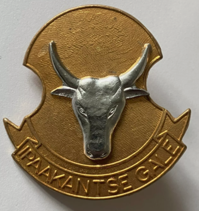 Нагрудный знак Сил обороны Бопутатсваны Южной Африки.