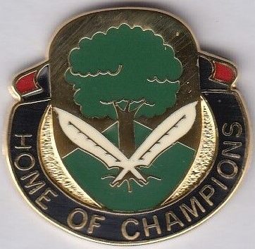 Знак 222-го батальона поддержки армии.