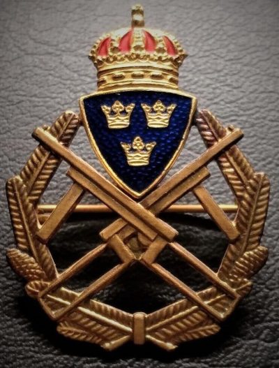 Значок 1-го класса за полевую стрельбу с автомата.