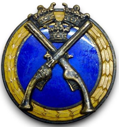 Золотой, серебряный и бронзовый значки за стрельбу с пистолетов.