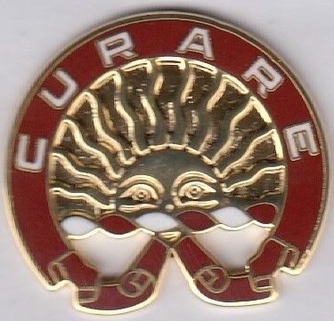 Знак 224-го батальона поддержки армии.