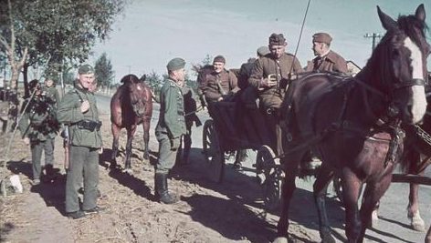 Польские военнопленные. 1939 г.