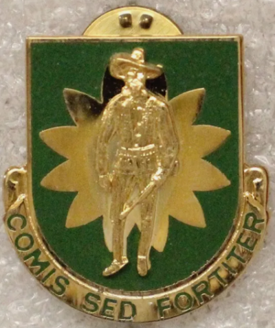 Знак 304-го батальона военной полиции.