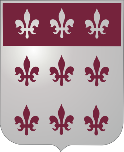 Знак 307-го батальона поддержки.