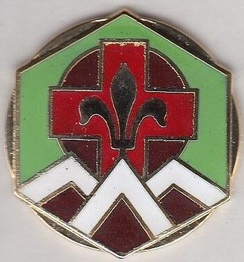 Знак 310-го полевого госпиталя армии.