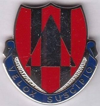 Знак 311-го батальона поддержки армии.
