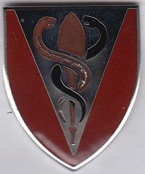 Знак 325-го батальона поддержки армии.