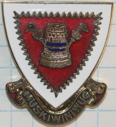 Знак 326-го медицинского батальона.