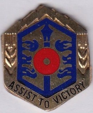 Знак 469-го батальона поддержки армии.