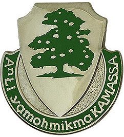Знак 348-го пехотного полка.