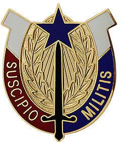 Знак 407-й бригады поддержки.