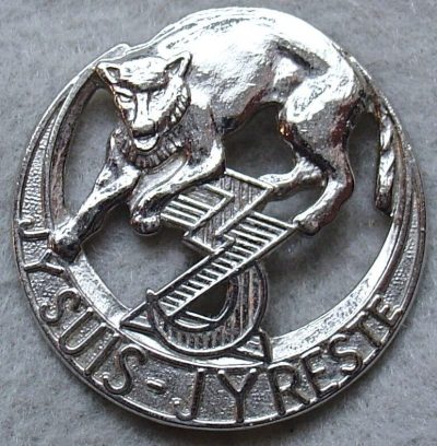 Знак 509-го пехотного воздушно-десантного полка.