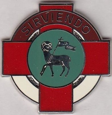 Знак 369-го госпиталя боевой поддержки армии.