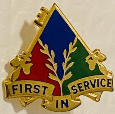 Знак 419-го батальона поддержки.