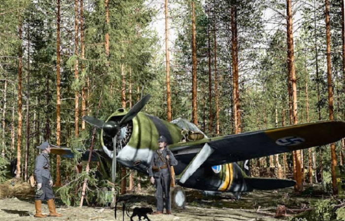 Финский истребитель «Брюстер Буффало 239» на аэродроме. 1941 г.