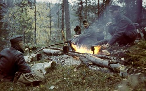 Финские и немецкие солдаты в лесу на привале. 1941 г.