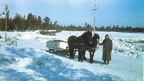Транспортировка гроба с фронта. 1941 г.