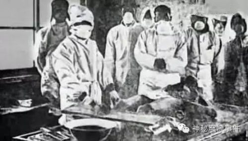 В лаборатории отряда №731.