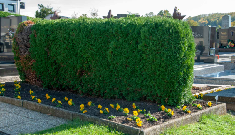 Зигендорф. Братская могила на общинном кладбище.