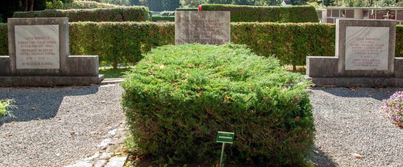 Мюрццушлаг. Братская могила на общинном кладбище.