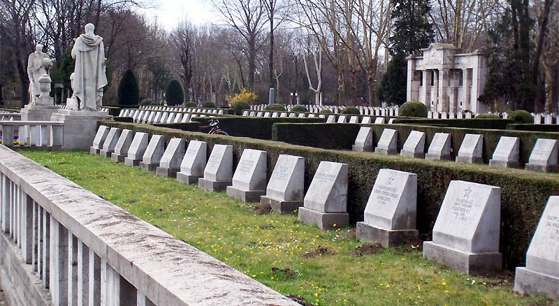 Общий вид захоронений. 