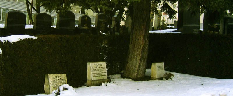 Воинское захоронение на кладбище Баумгартен, где захоронено 40 советских воинов. 