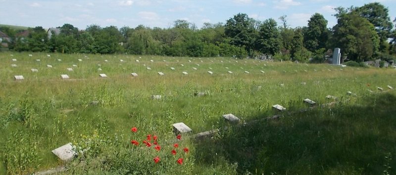 г. Дорог. Советское военное кладбище. 