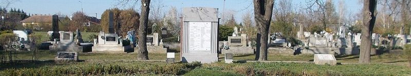 г. Мезётур. Советское военное кладбище.